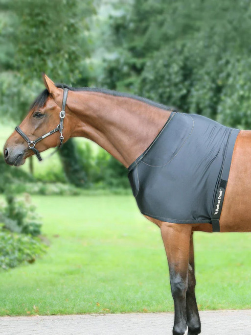 Protège épaules avec coussin Back On Track