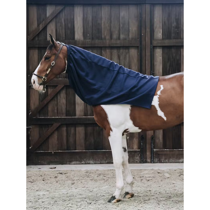 Écharpe polaire Kentucky