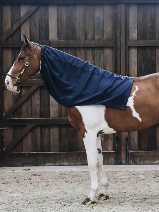 Écharpe polaire Kentucky