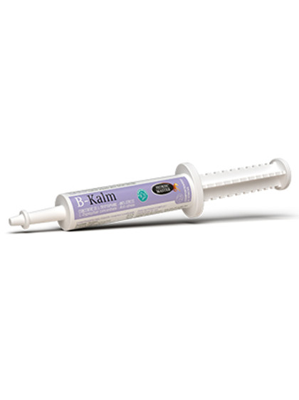 Seringue B-Kalm Horse Master