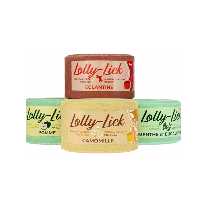 Pierre à sel Lolly-Lick 700g Hippo-Tonic
