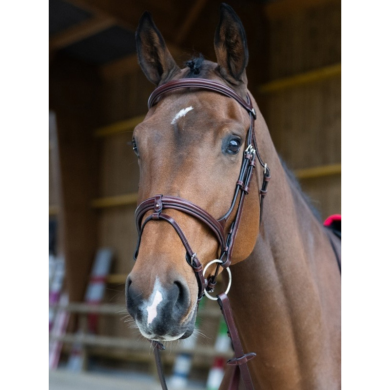 Bridon Evolution muserolle combinée Origin Jump'In