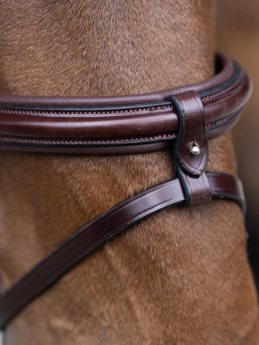 Bridon Evolution muserolle combinée Origin Jump'In