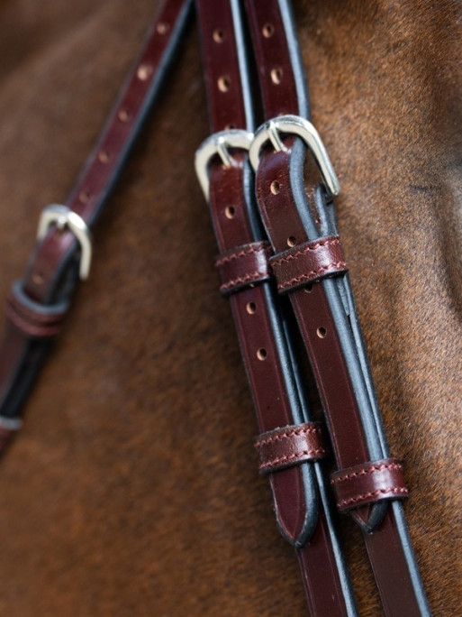 Bridon Evolution muserolle combinée Origin Jump'In