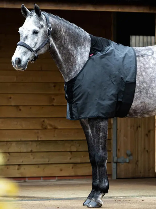 Protection de poitrail LeMieux