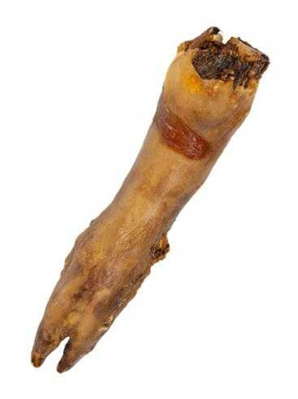 Pied de porc XL 350g Vrac