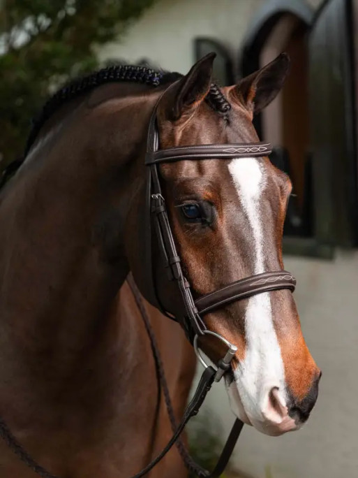 Bridon Hunter surpiqué avec rênes tressées LeMieux
