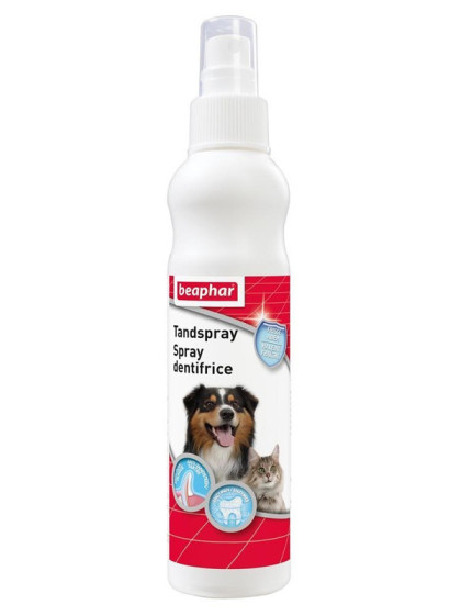 Dentifrice en spray chien...