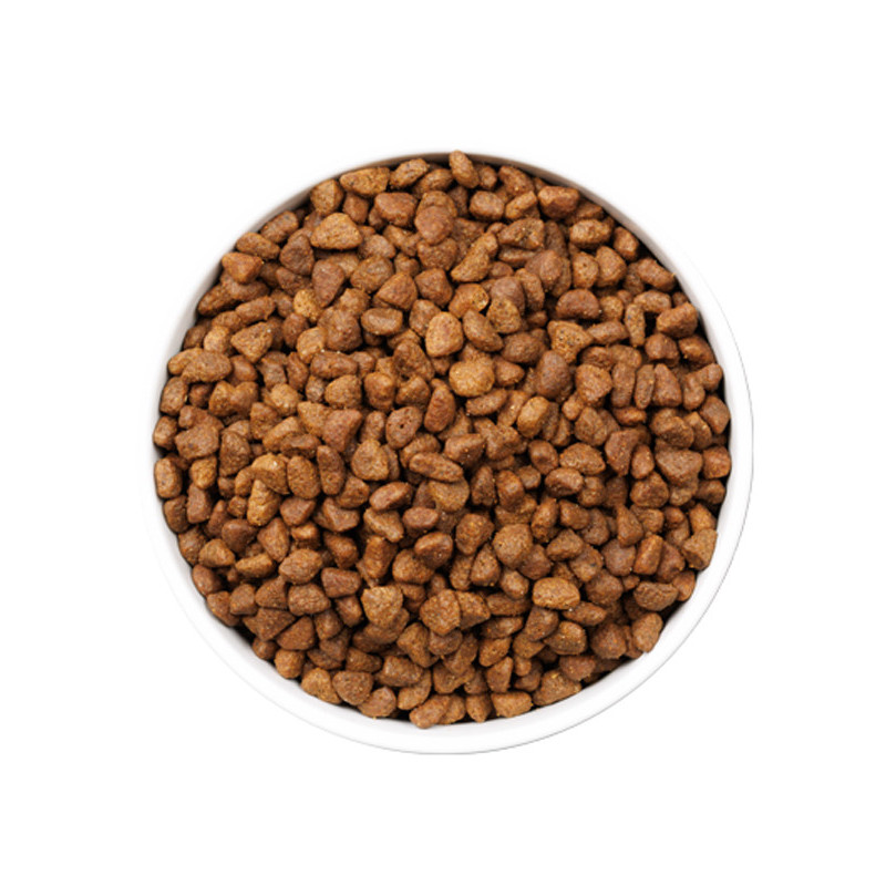 Croquettes Ultra Ageing Fish Chat 3kg Ownat