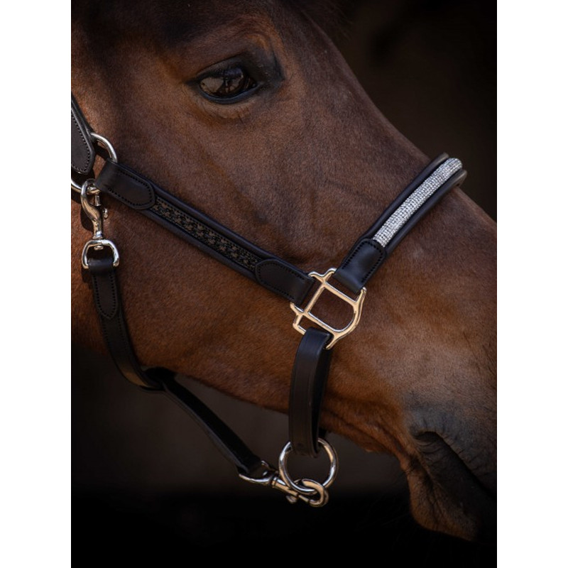 Licol en cuir Harmonie Pénélope