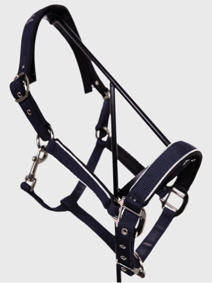 Licol + longe Bamara SS26 Harcour