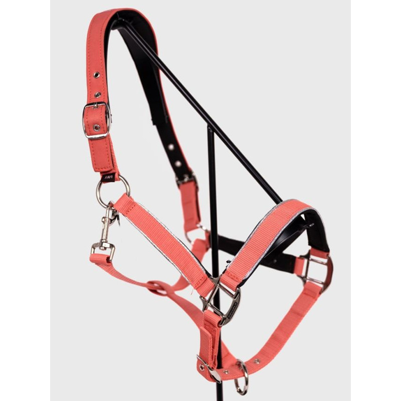 Licol + longe Bamara SS26 Harcour