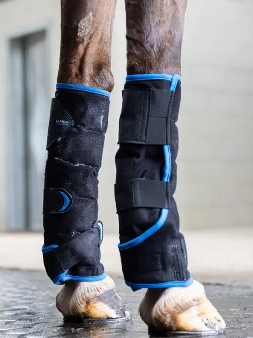 Guêtres antérieurs Freeze Flow Ice LeMieux