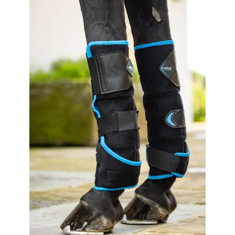 Guêtres antérieurs Freeze Flow Ice LeMieux