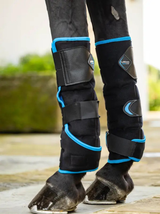 Guêtres antérieurs Freeze Flow Ice LeMieux