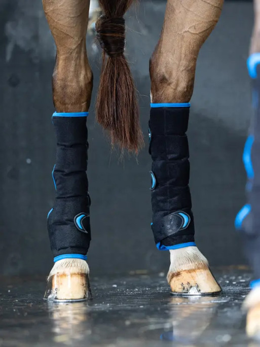 Guêtres postérieurs Freeze Flow Ice LeMieux