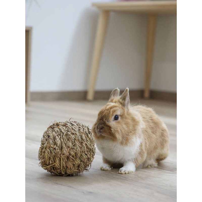 Balle comestible en herbe pour rongeur Kerbl