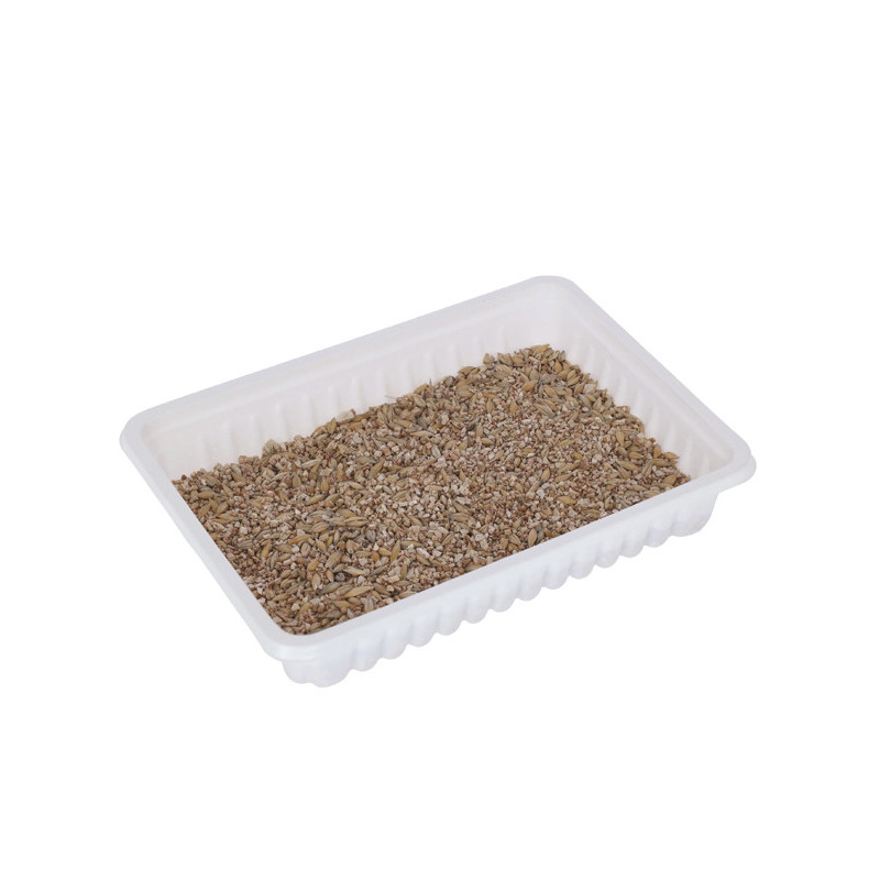 Herbe à chat 100g Kerbl