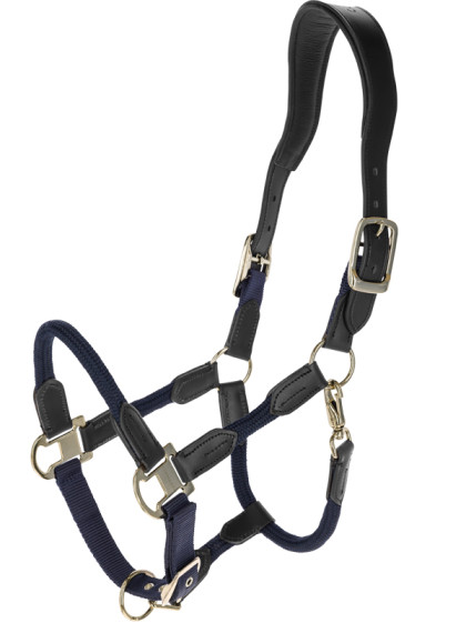 Licol Cordano SS26 Covalliero