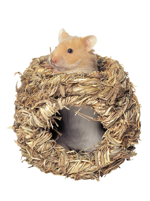 Nichoir en herbe Kerbl