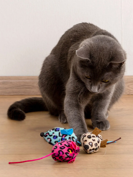 Souris Display 6.5cm Kerbl