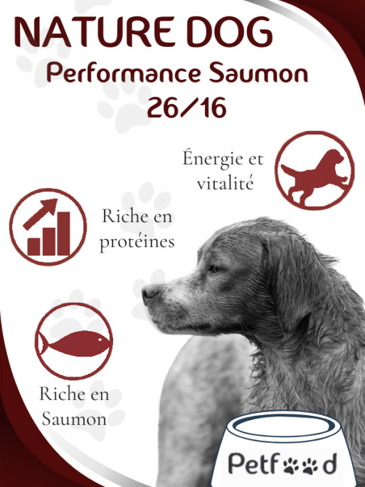 Croquettes Performance 26/16 Saumon Nature Dog 15kg