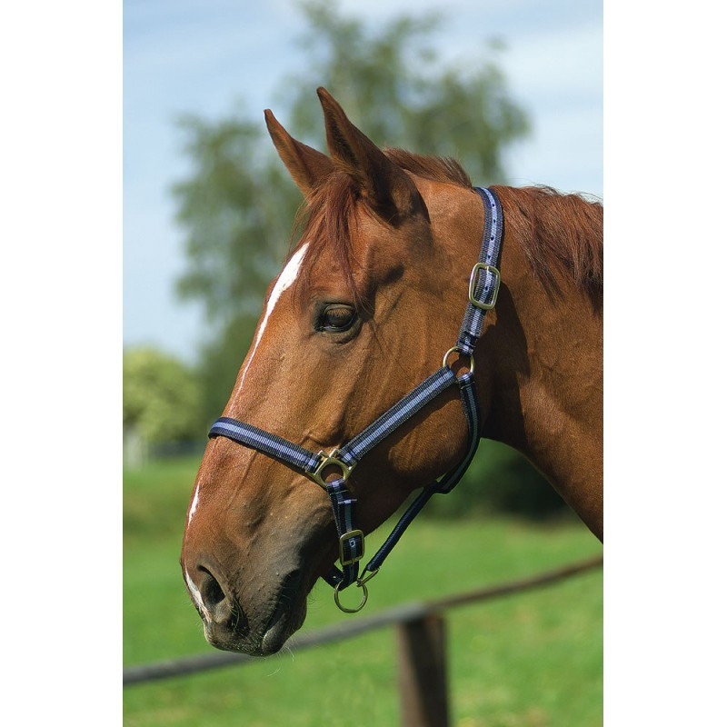 Licol nylon doublé cuir