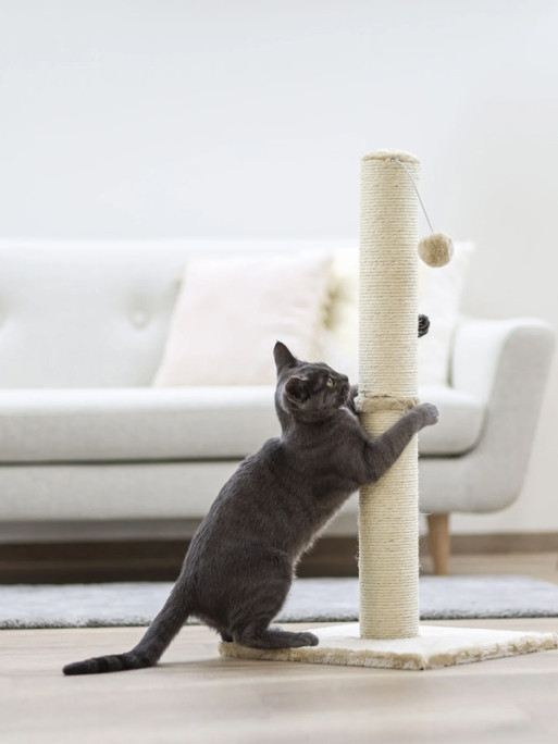 Arbre à chat Opal Maxi Kerbl