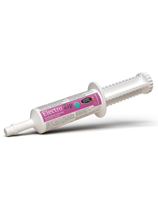 Seringue de récupération Electro-Zip Horse Master