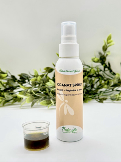 Spray désinfectant Cicanet 125ml Nutragile
