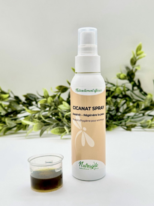 Spray désinfectant Cicanet 125ml Nutragile