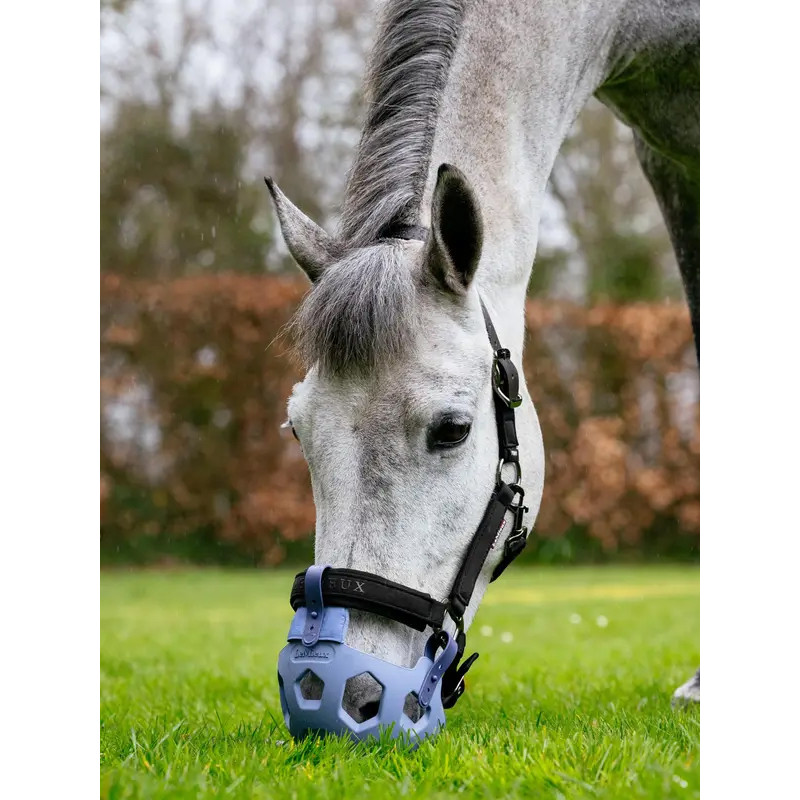 Muselière de pâturage LeMieux