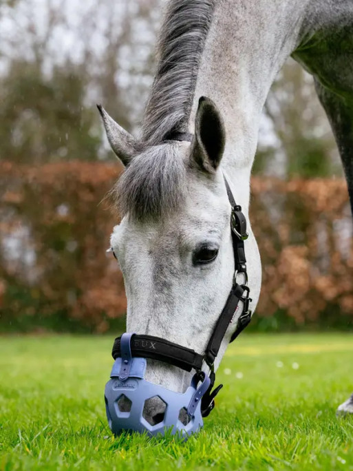 Muselière de pâturage LeMieux
