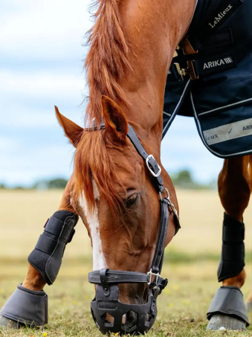 Muselière de pâturage LeMieux
