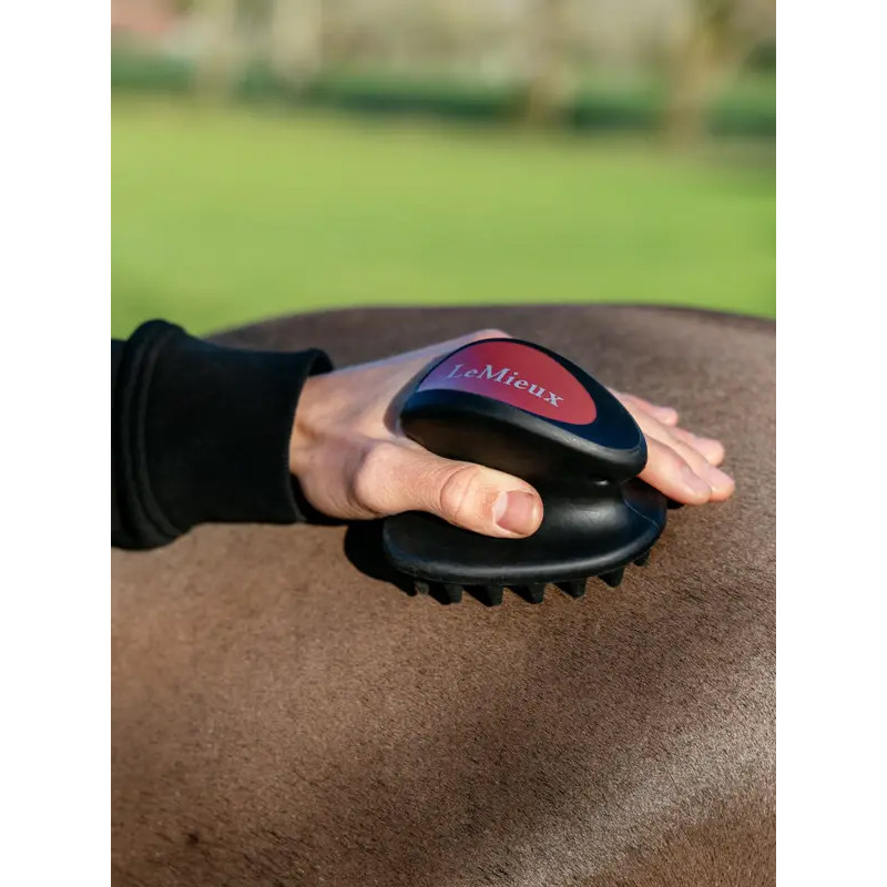 Brosse de massage LeMieux