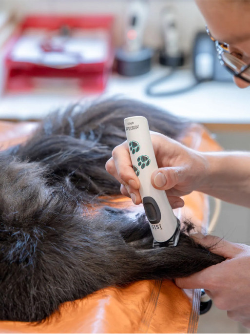 Tondeuse Isis Aesculap