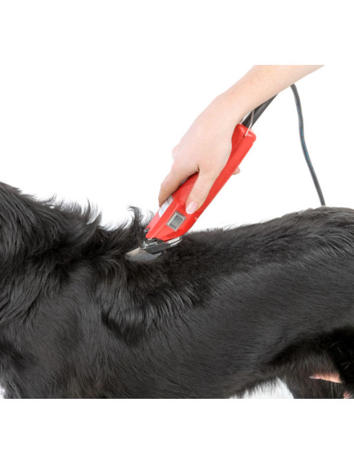 Tondeuse sur secteur Favorita Speed Aesculap