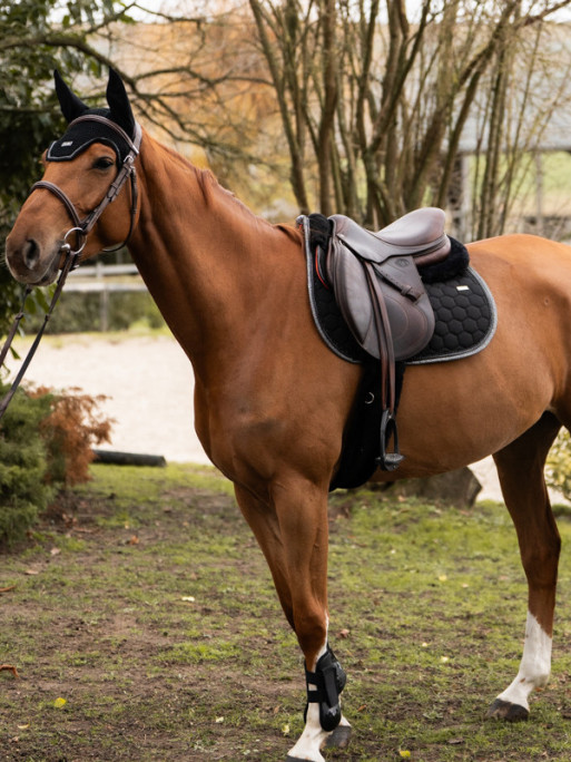 Bonnet court Atlas GEM