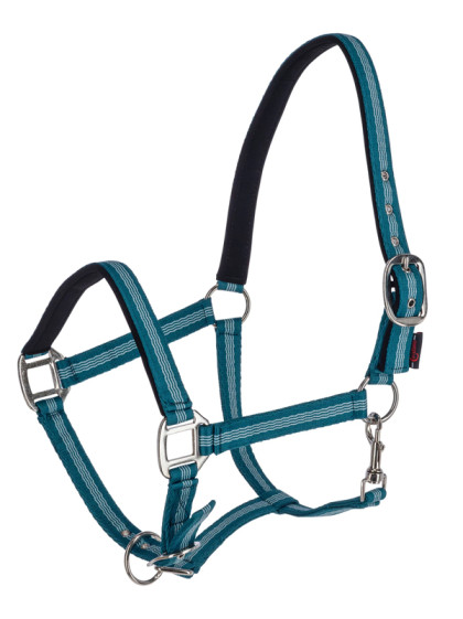 Licol Mustang Covalliero