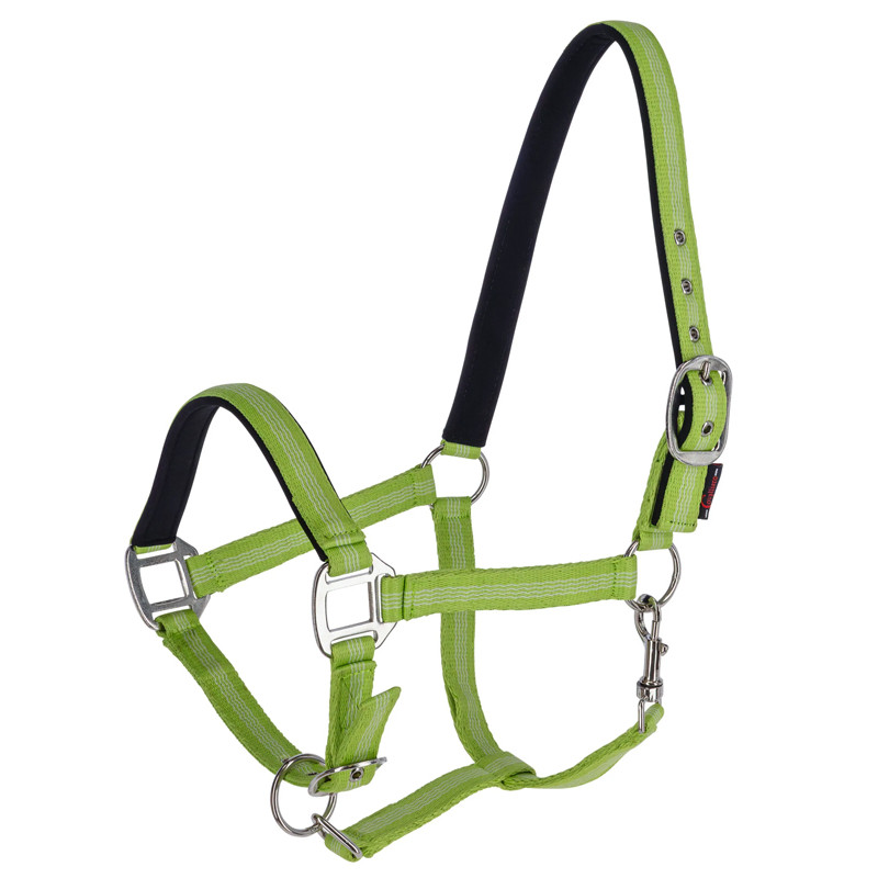 Licol Mustang Covalliero