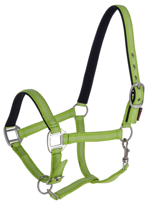 Licol Mustang Covalliero