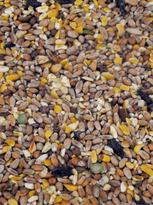 Mélange céréales pour poules 20kg Toc'N Roll