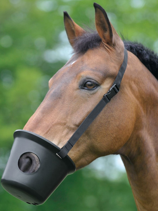 Muselière anti-colique Waldhausen