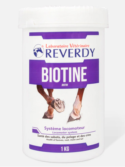 Complément alimentaire Biotine 1kg Reverdy