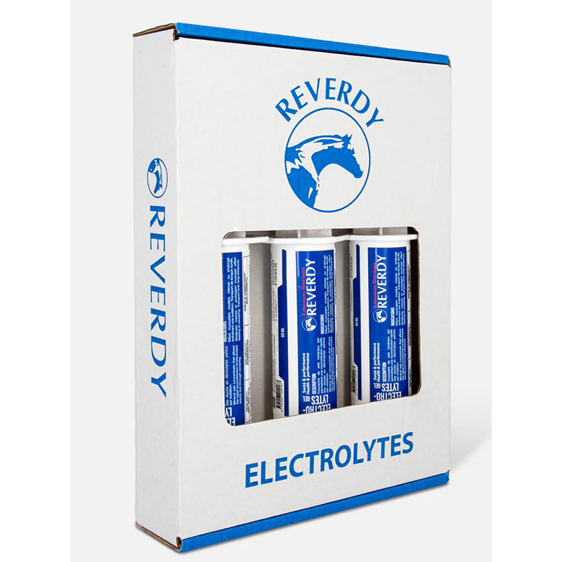 Seringues électrolytes gel x3 60ml Reverdy