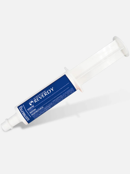 Seringues électrolytes gel x3 60ml Reverdy