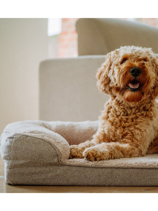 Panier Comfort orthopédique Calbu Nobby