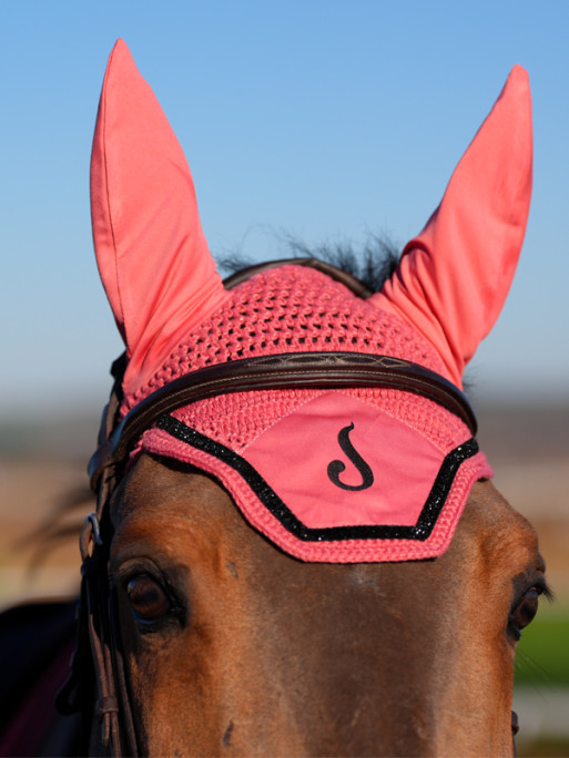 Bonnet Ludwig Le Sabotier