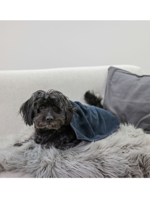 Serviette pour chien 50x60cm Kerbl