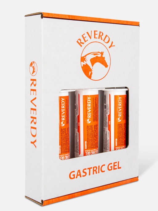 Seringues complément alimentaire Gastric Gel x3 Reverdy